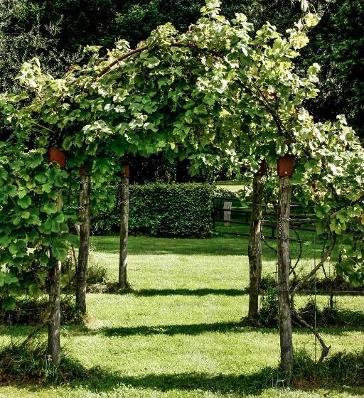 בית מלון כפרי De Lochemse Berg