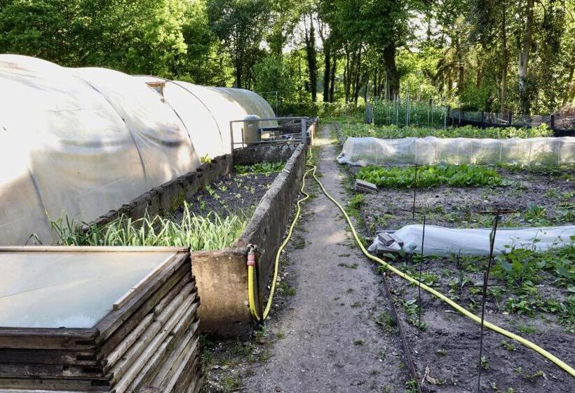 בית מלון כפרי De Lochemse Berg