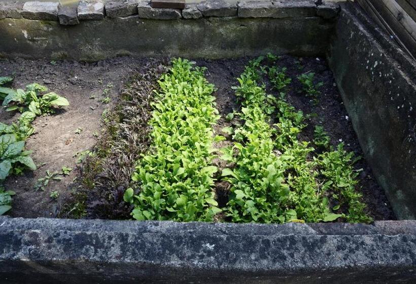 בית מלון כפרי De Lochemse Berg