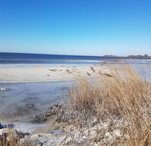 בית מלון כפרי De Stadsboerderij