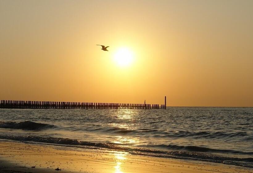 בית מלון כפרי De Vier Heemskinderen