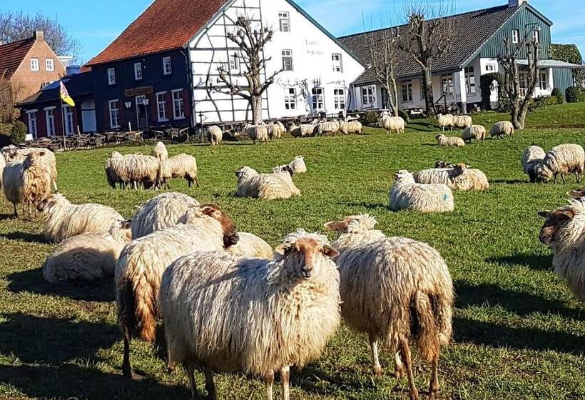 هتل ,herberg & Appartementen De Smidse