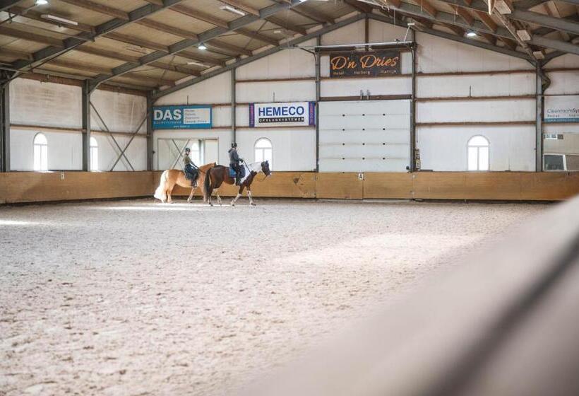 هتل Restaurant D N Dries