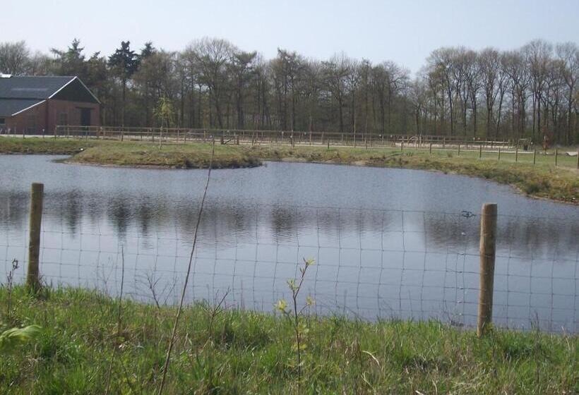 Отель Horsetellerie Rheezerveen