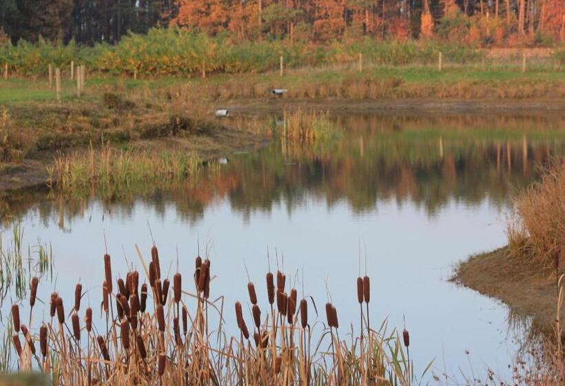 Отель Horsetellerie Rheezerveen