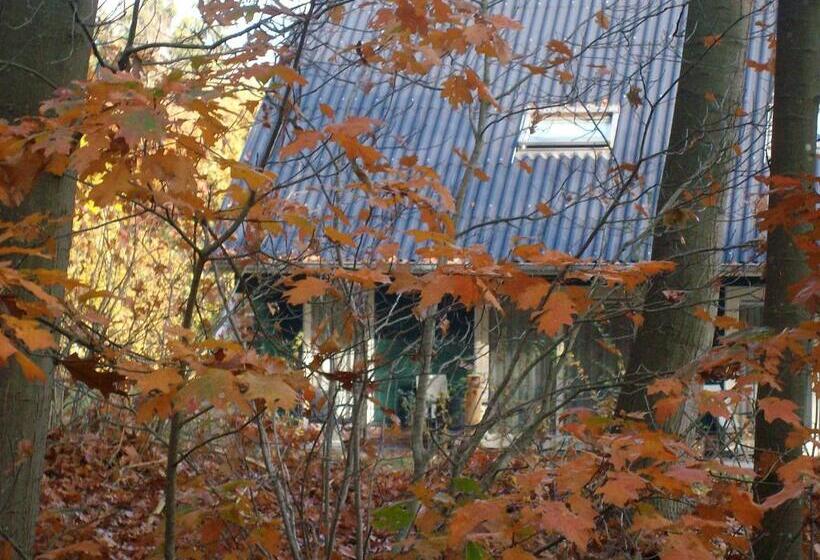 Отель Horsetellerie Rheezerveen