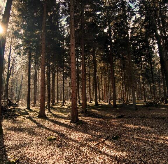 בית מלון כפרי Stedswal