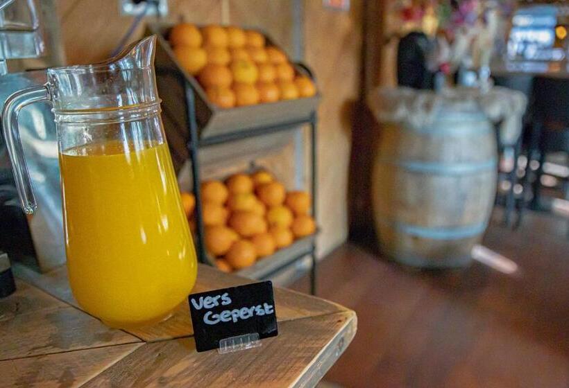 Отель Onder De Linden