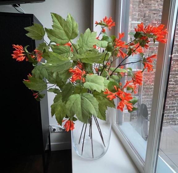 Отель Stadsherberg Sneek