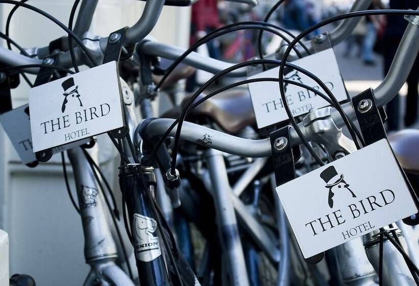 هتل The Bird