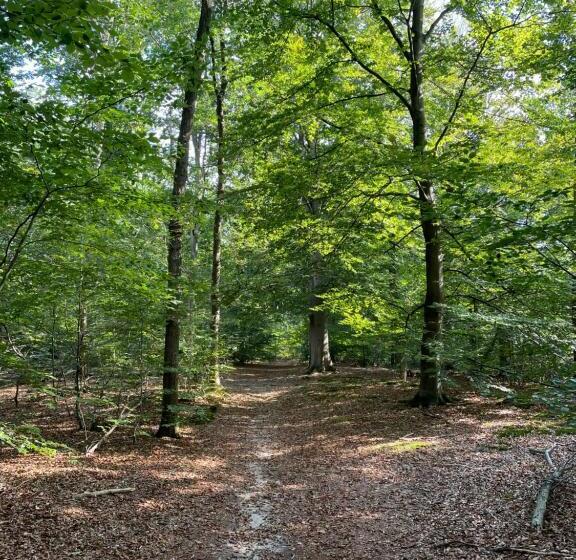 בית מלון כפרי Wapen Van Exloo