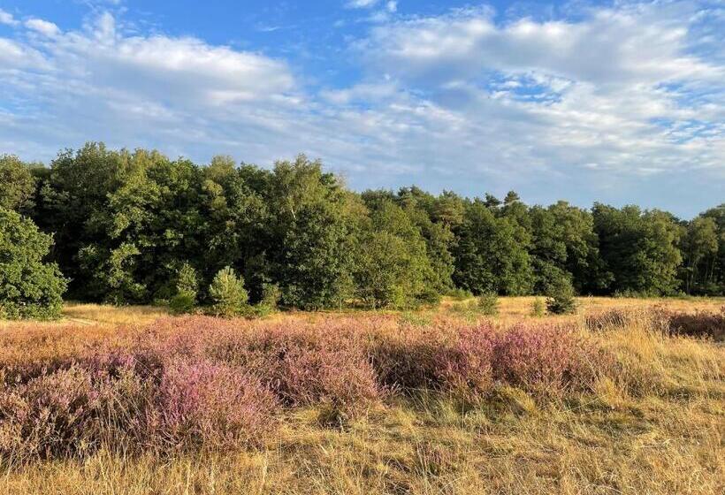 בית מלון כפרי Wapen Van Exloo