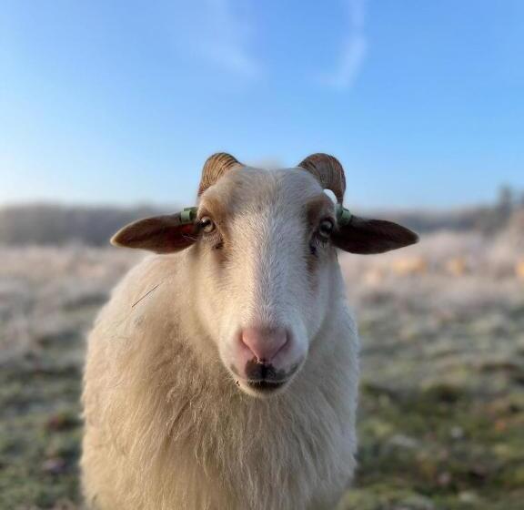 בית מלון כפרי Wapen Van Exloo