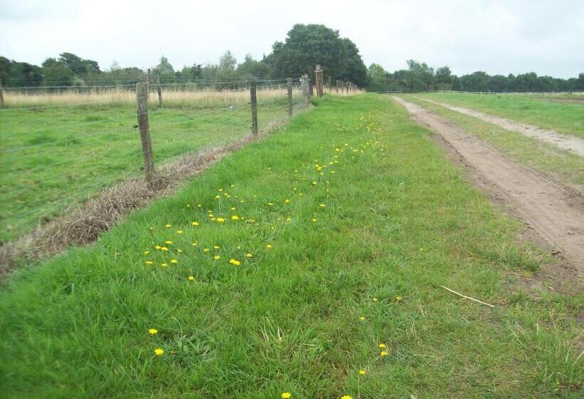 בית מלון כפרי Wapen Van Exloo