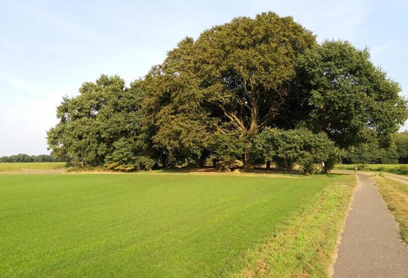 בית מלון כפרי Wapen Van Exloo