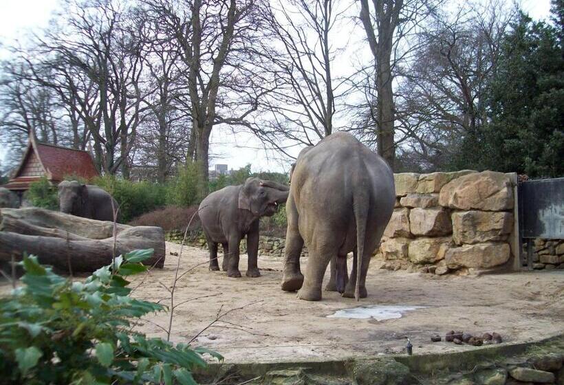 בית מלון כפרי Wapen Van Exloo