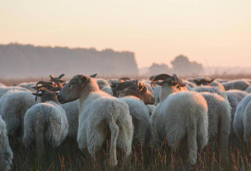 בית מלון כפרי Wapen Van Exloo