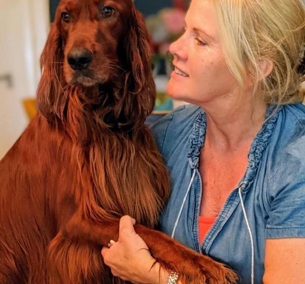 レジデンス Villa Rozenhof