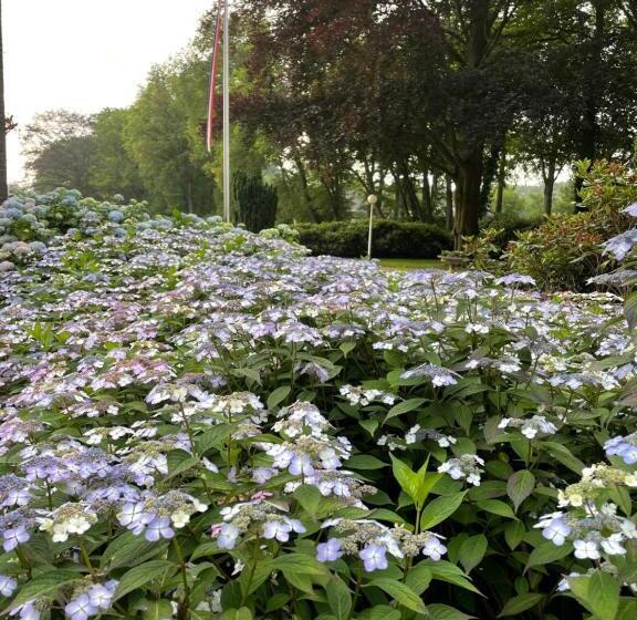 レジデンス Villa Rozenhof