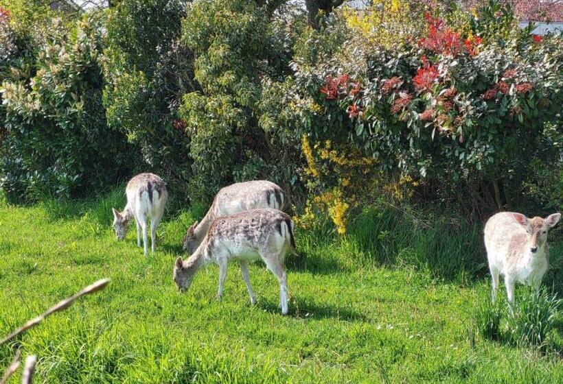 Strandhotel Dennenbos