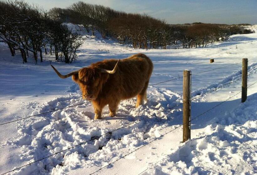 Strandhotel Dennenbos