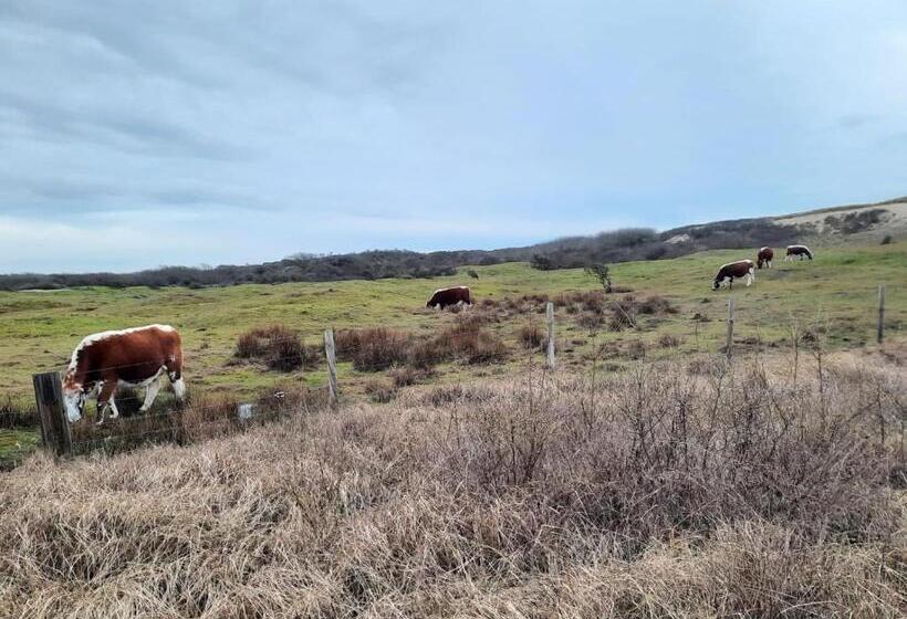 Strandhotel Dennenbos