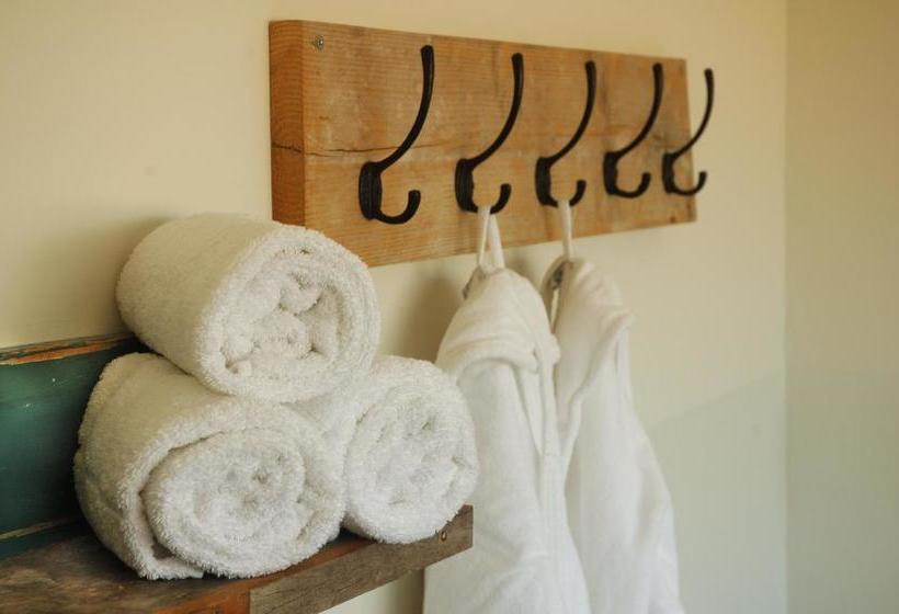 Strandhotel Terschelling B&b