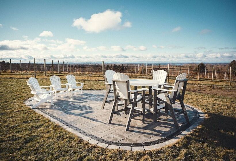 Отель Yuba Vineyard