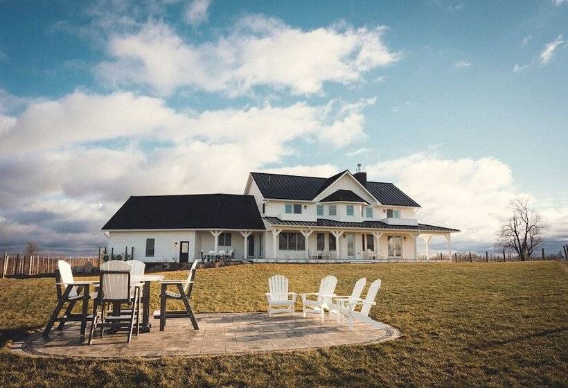 Отель Yuba Vineyard