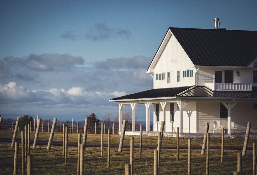 Отель Yuba Vineyard