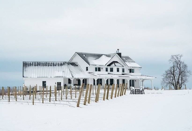 Отель Yuba Vineyard