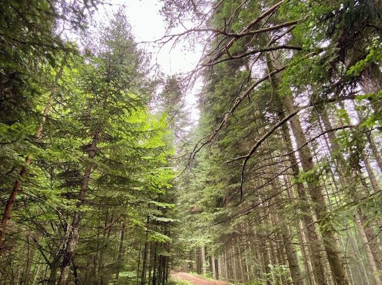בית מלון כפרי Ala Glamping