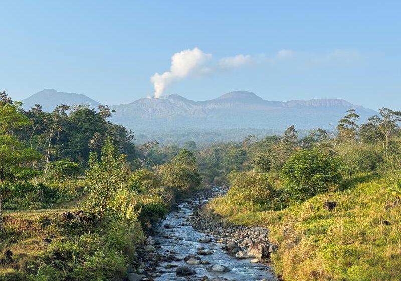 فندق Blue River Resort & Hot Springs