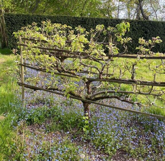 بنسيون Le Manoir Du Plessis