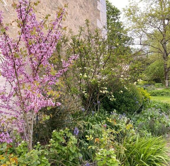 بنسيون Le Manoir Du Plessis