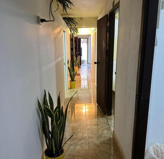 ペンション Tingkham Guesthouse