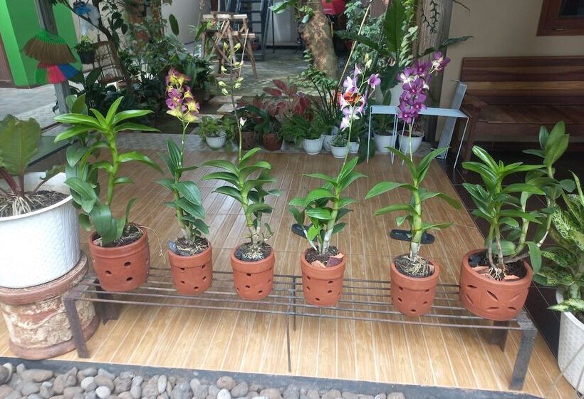 酒店 Oyo 93892 Homestay Koe Syariah