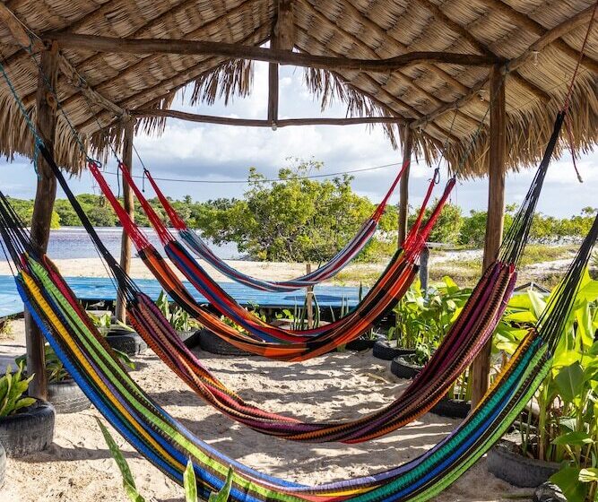 호텔 Pousada Sol De Amaro