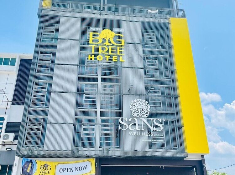 בית מלון כפרי Big Tree