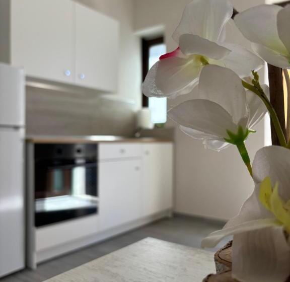 فندق Borgo Albergo Vulturis