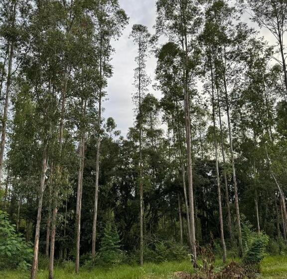 ホテル Na Rodovia Castelo Branco