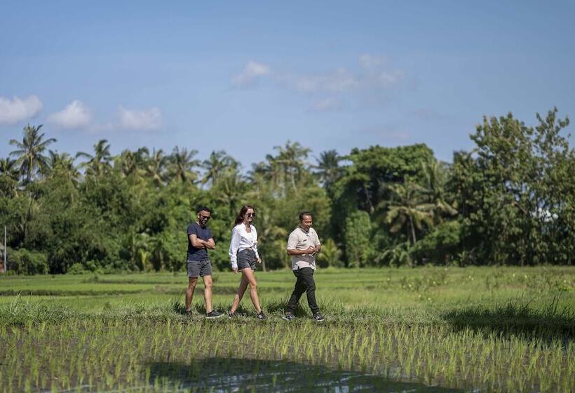 בית מלון כפרי Unagi Wooden Villas By Emana