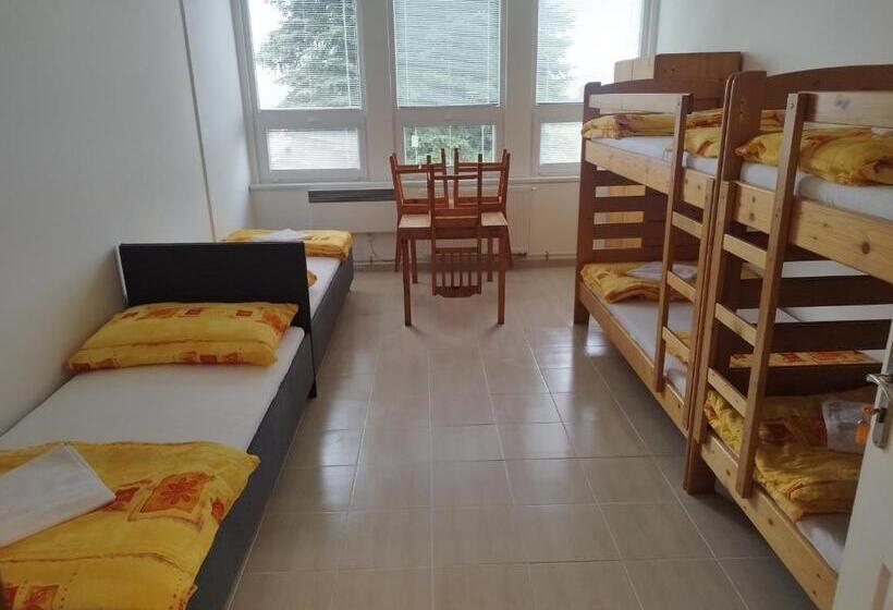 ペンション Penzion U Lipna