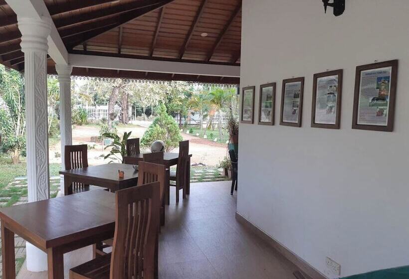 Habarana Tamarind Resort By Travel Squad