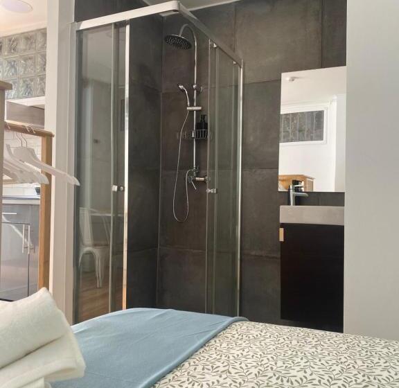 هاستل Terrace House