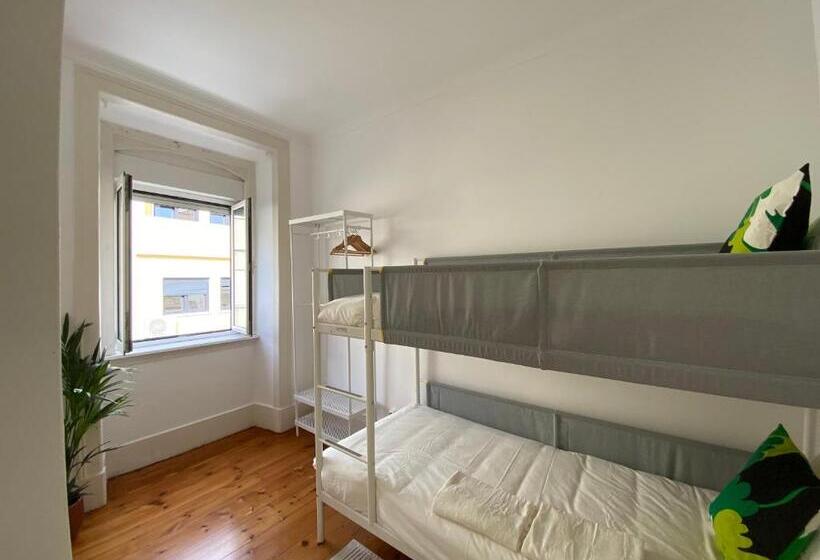 هاستل Terrace House