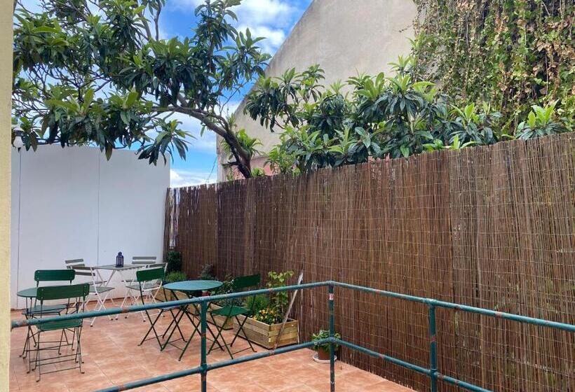 هاستل Terrace House