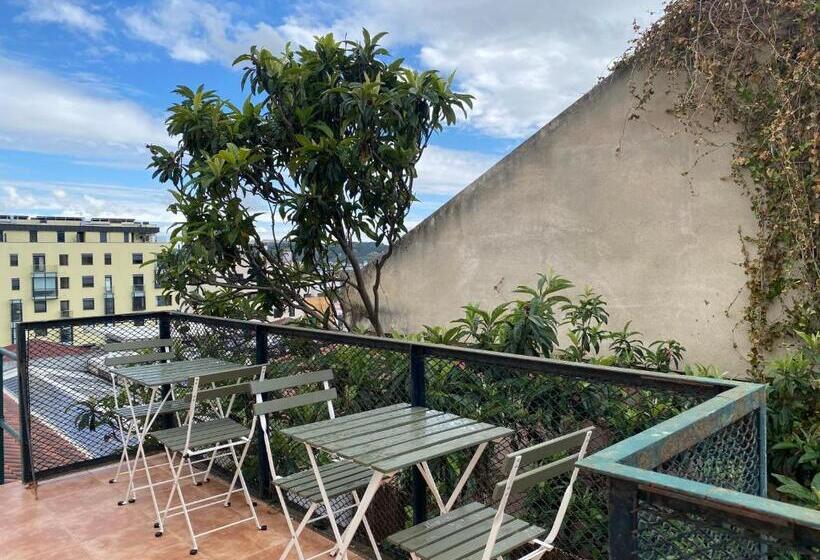 هاستل Terrace House