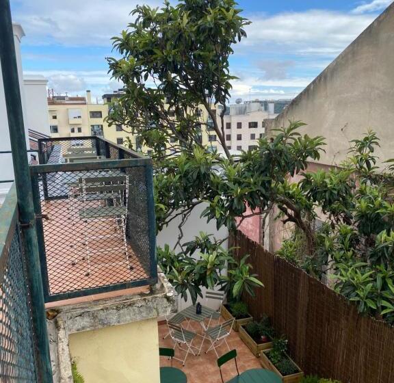 هاستل Terrace House