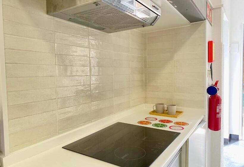 هاستل Terrace House